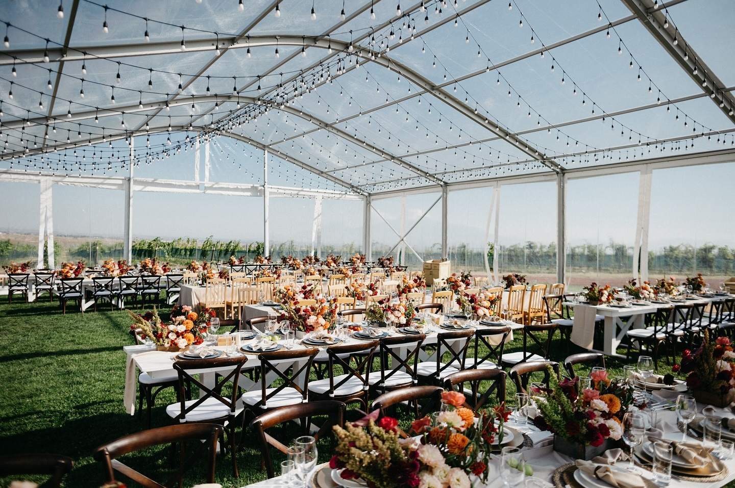Archy Tent-wedding(2)